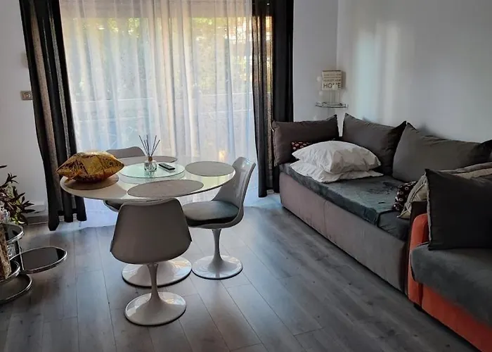 31 M² *