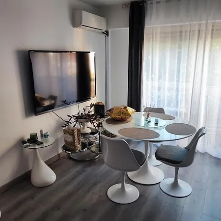 31 M² 公寓 尼斯